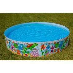 These pools were never this round. They looked more like the outline of a barnicled oyster than a circle.